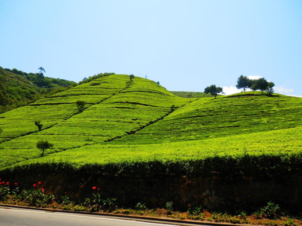Eranga Guest Hotel นูวาราเอลิยา ภายนอก รูปภาพ